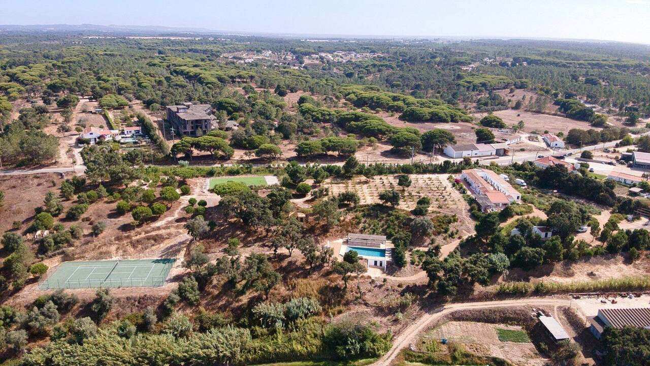 The house and grounds from the air