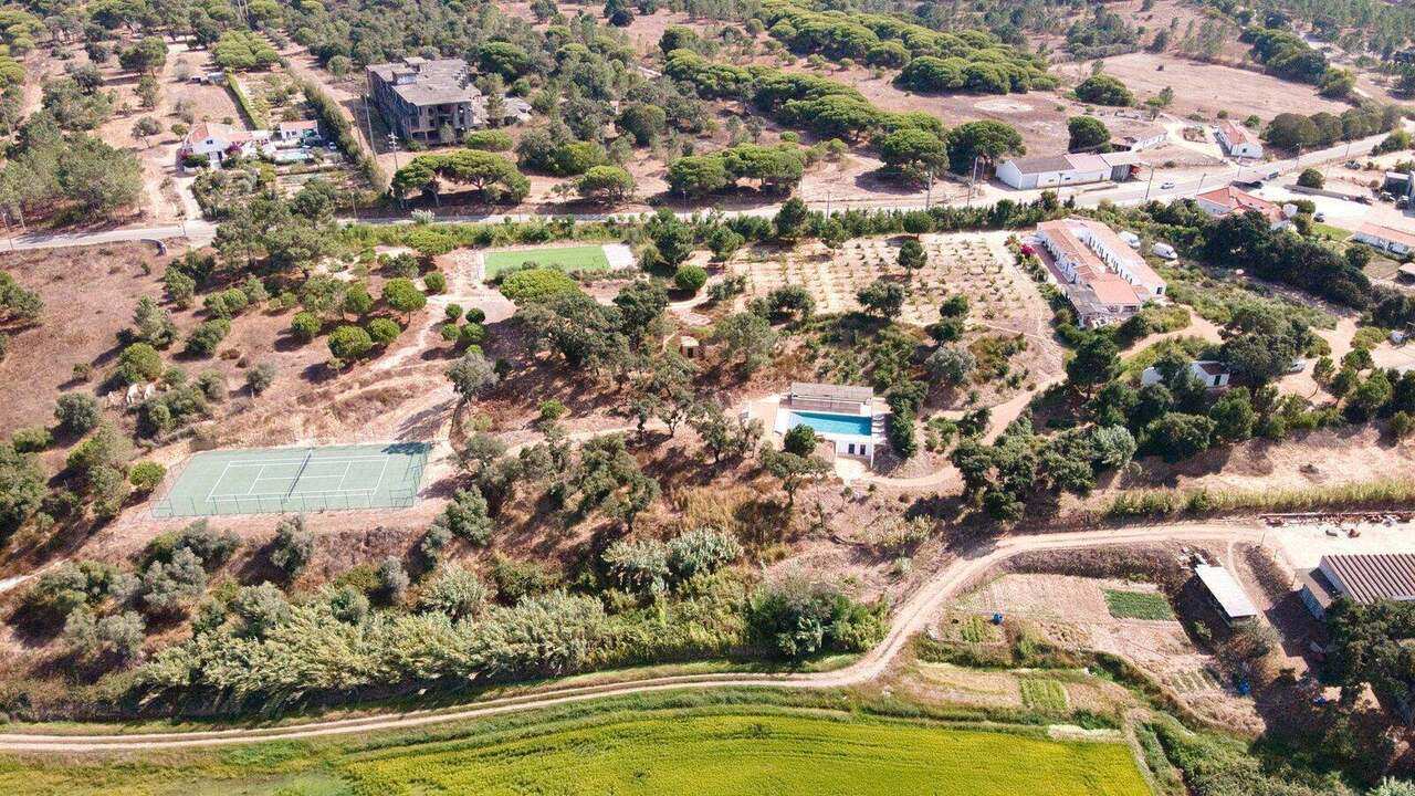 The house and grounds from the air
