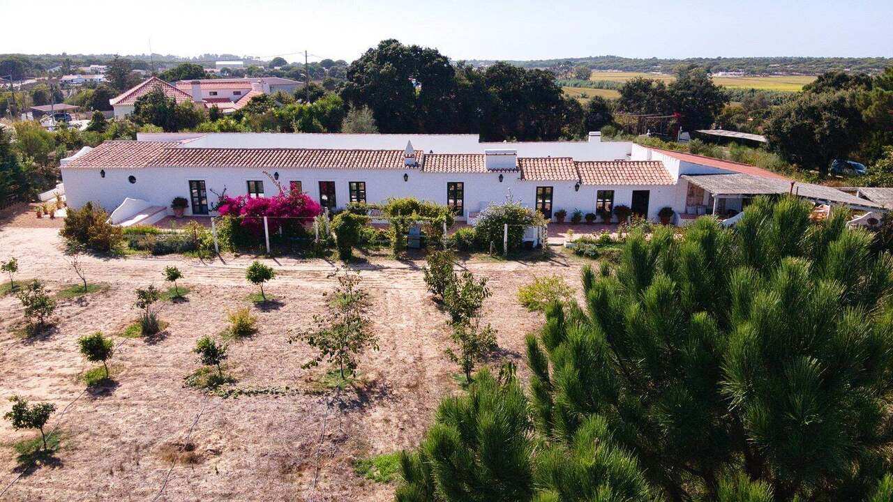 The farmhouse from the air, bougainvillea over the terrace