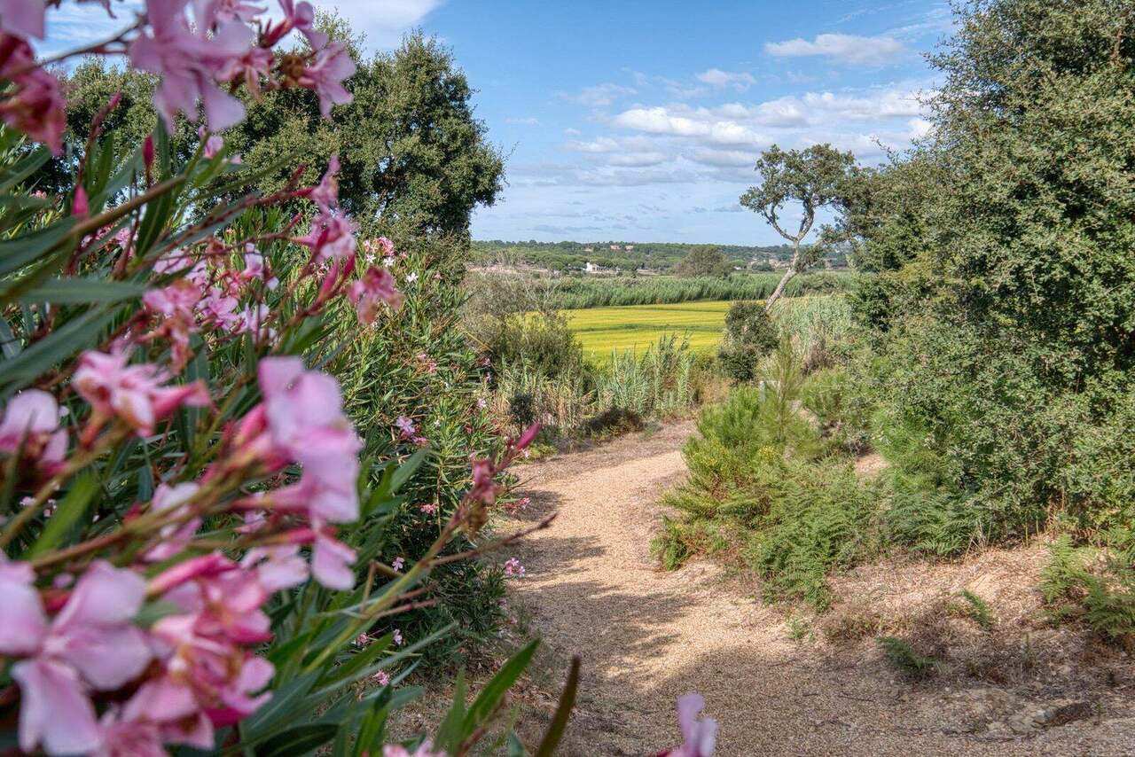 The oleander path through the garden