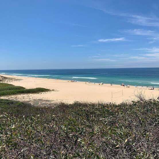 The beach from the dunes