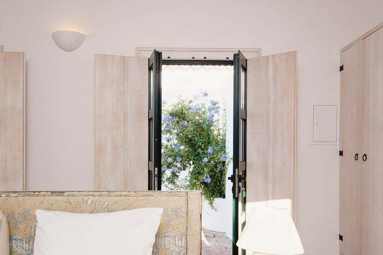 A bedroom window with plumbago in flower