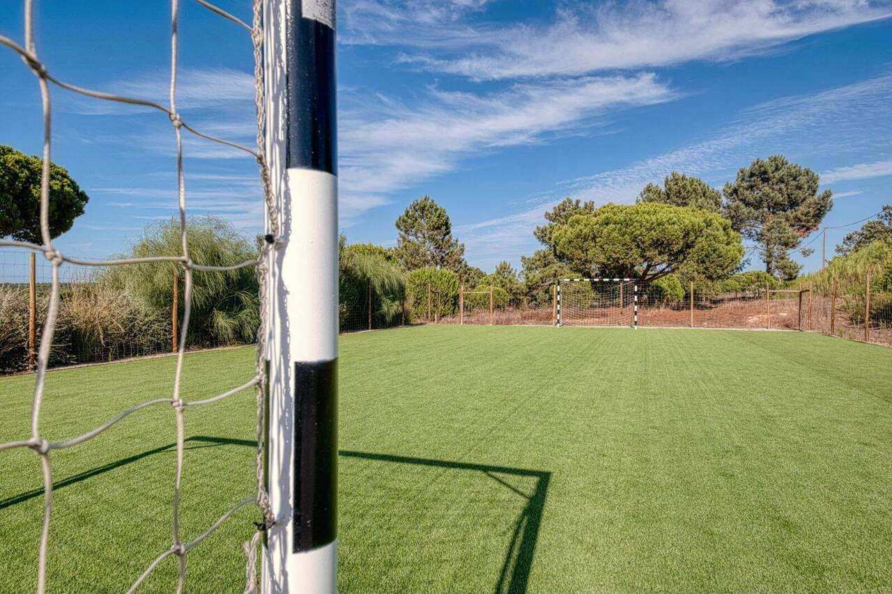 The football goal