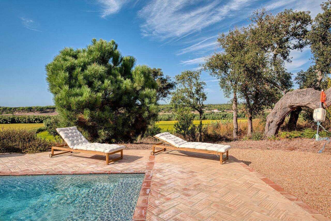 Loungers by the pool