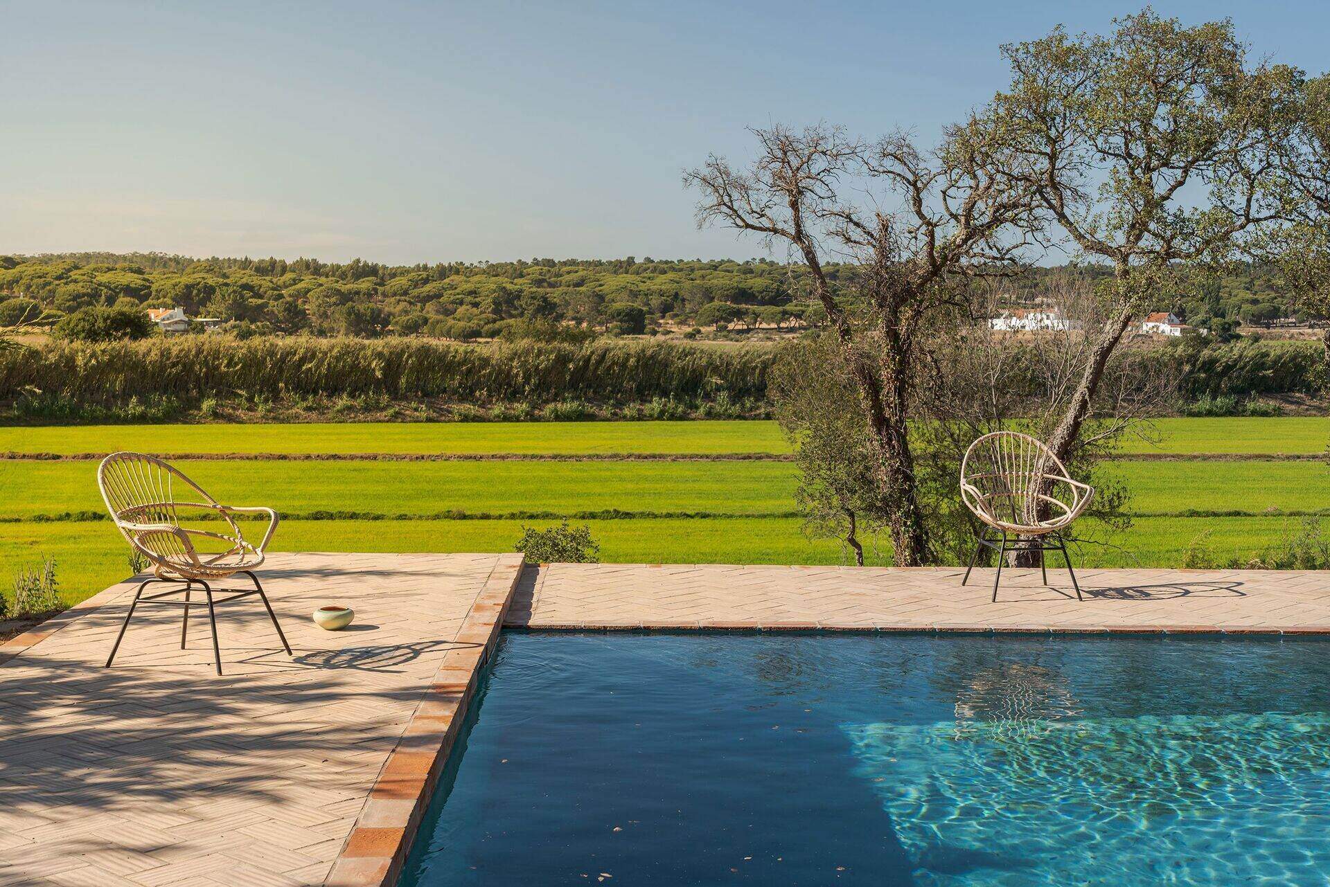 The pool at Casa dos Cavalos, two chairs under the cork oak, looking over the rice fields of Melides on the Comporta coast
